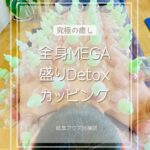 岐阜で全身MEGA盛りDetoxカッピングを受けるなら、アクア治療院へ